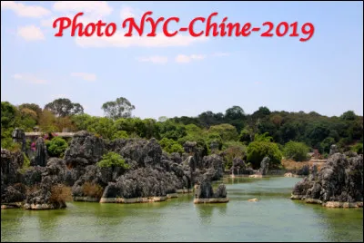 Au Yunnan, quel est le nom de cette forêt de pierres unique au monde qui offre un paysage de roches, de végétaux et d'eau ?