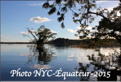 En Équateur, quel est le nom de cette réserve, une zone tropicale de l'écosystème amazonien qui offre des paysages complexes de rivières, de lacs, de forêts et d'arbres immergés ?