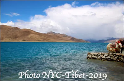 Au Tibet quel est le nom de ce lac sacré de 72 km de long aux rives spectaculaires montagneuses, situé à 5 000 mètres d'altitude ?