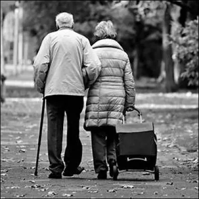 Voyons un peu, qu'est-ce qu'un eyra ?