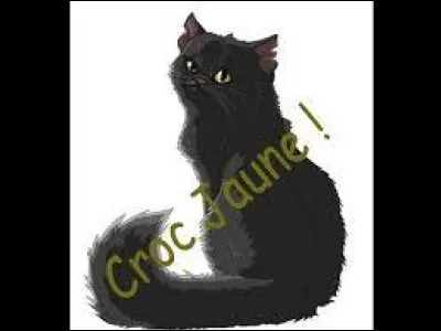 Qui sont les surs de Croc Jaune ?