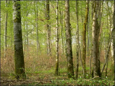 Choisis un paysage.