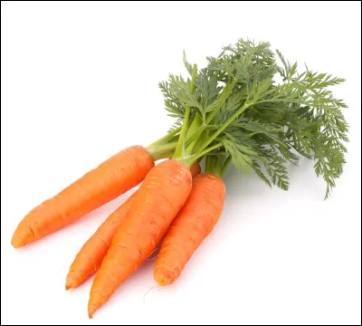 Quel est ton passe-temps préféré ?