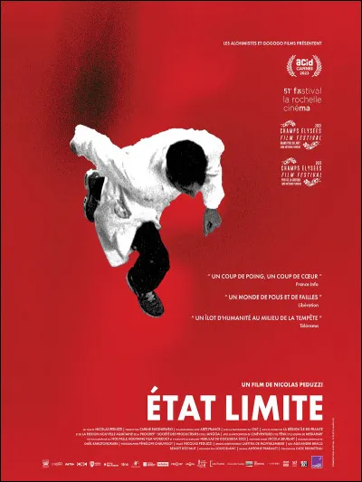 Quelle profession est principalement mise à l'honneur dans le film "État limite" ?