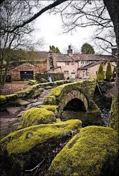 Sais-tu parler anglais ?