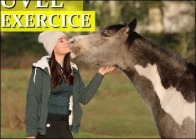 Quelles sont tes couleurs préférées ?