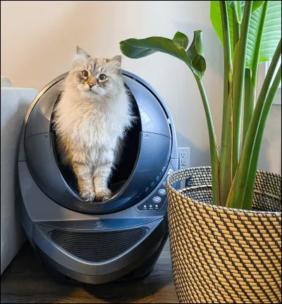 Tu es le chef du Clan de l'Ombre, tu découvres qu'un apprenti mange chez des bipèdes. Le laisses-tu faire ?