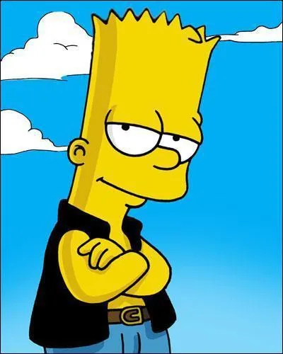 De quel instrument a jou Bart Simpson ?