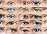 Test La raret de la couleur de tes yeux