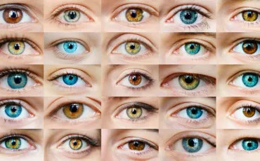 Quiz Couleurs