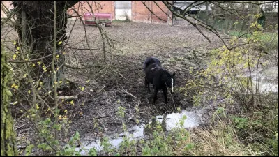La source de la rivière est sur le point de se ...