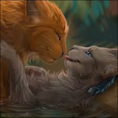 Quel(le) apprenti(e) Pelage de Lion voyait-il en secret, et où ?