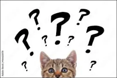 Pendant son apprentissage, une prophétie l'informe, ainsi que son frère et sa sur qu'il y aura trois élus dotés du pouvoir des Étoiles. Quel est celui de Pelage de Lion ?