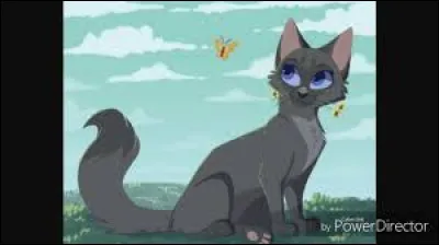 Comment se nomme le père de la mère de la compagne de Pelage de Lion, qui est Cur Cendré ?