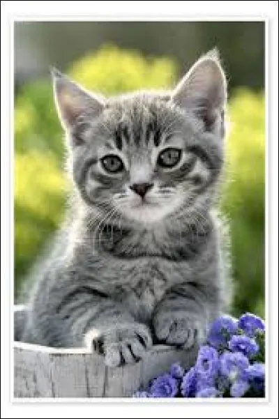 Tiens, d'ailleurs, comment se nommait cet(te) apprenti(e) ?