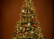 Quiz Connais-tu vraiment le sapin de Nol ?