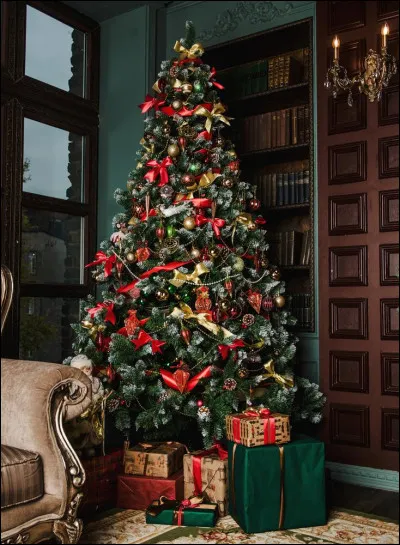 Quel est le peuple qui a instauré la tradition du sapin à Noël ?