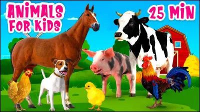 Quel animal préfères-tu ?