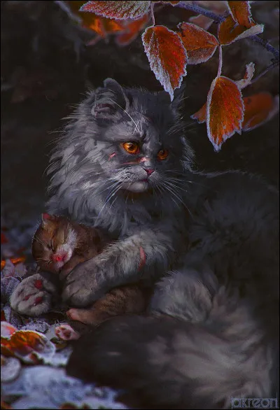 Qui a été le mentor de Croc Jaune ?