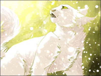 Coche les matous que Tornade Blanche a formés.