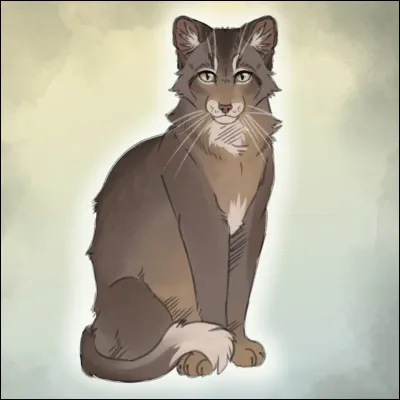 Qui a formé Poil de Souris ?