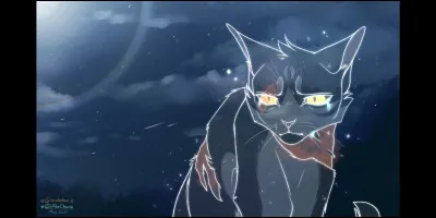 Et qui a formé Nuage Agile ?