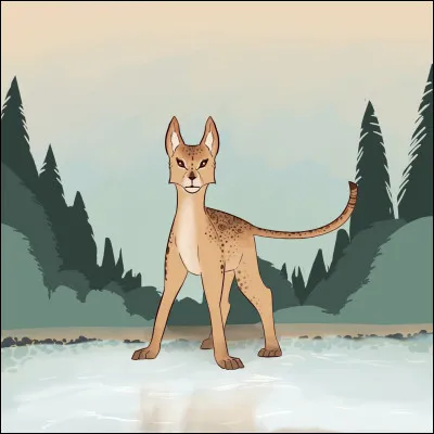 Qui a été l'apprenti d'Étoile du Léopard ?