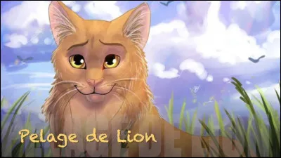 En quelle matière de LGDC es-tu meilleur ?