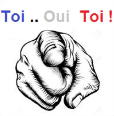 Le mot qui te décrit le mieux est :