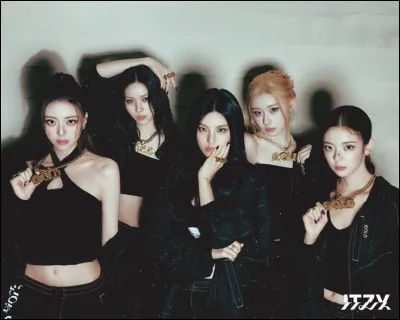 Quel a été le premier album du groupe ?