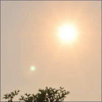 Ta saison préféré, c'est...