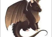 Quiz Tous les Ailes de Nuit de LRDF 2 !