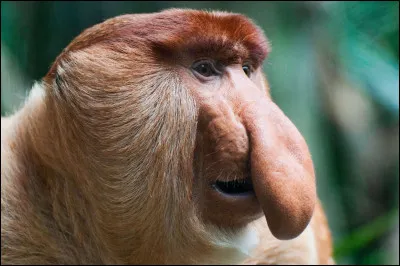 Citation tirée d'un sketch !