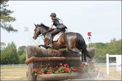 Comment s'appelle cette discipline ?