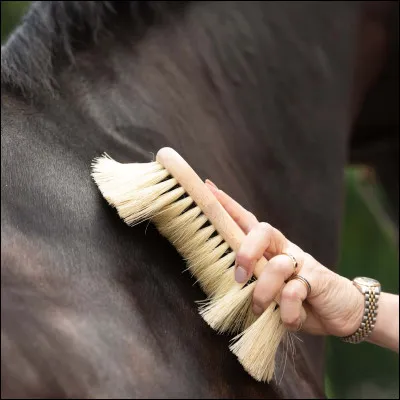 À quoi sert la brosse douce ?