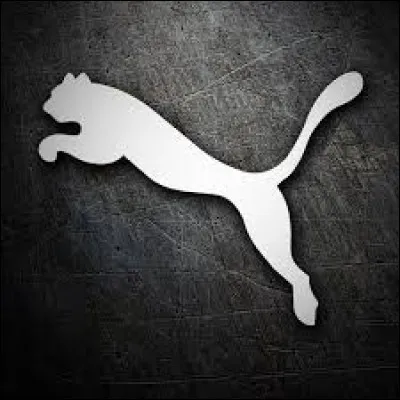 Quelle marque représente ce logo ?