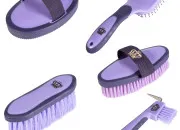 Quiz Les brosses de pansage dquitation