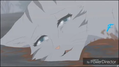 Elle a un compagnon la première :