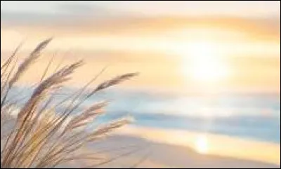 Harry Potter était aussi surnommé "Celui-Dont-On-Ne-Doit-Pas-Prononcer-Le-Nom" !