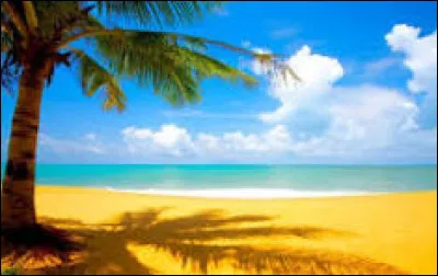 Patricia Kaas est une "fille de l'est" !