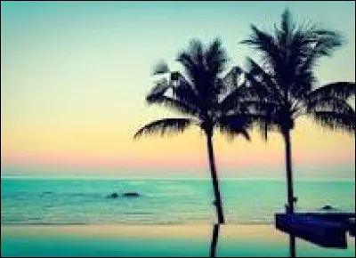 La pizza est un plat espagnol !