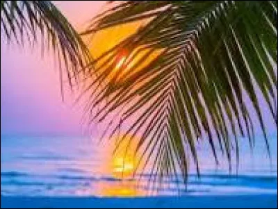 Hermione Granger est dans la maison Gryffondor !