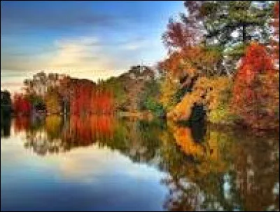 La milice fasciste de Mussolini est appelée "Les Chemises rouges" !