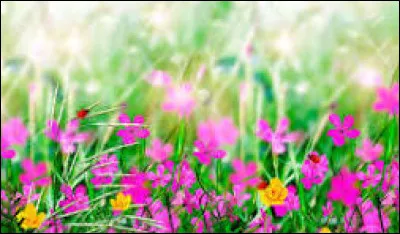 "Rot" se traduit par "rouge" en allemand !