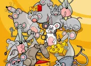Quiz Quizz animalier fantaisiste