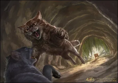 Salut et bienvenue sur ce quiz. Enfin, commençons.

Étoile du Tigre a tué plein de chats. Saurais-tu me dire lesquels ?