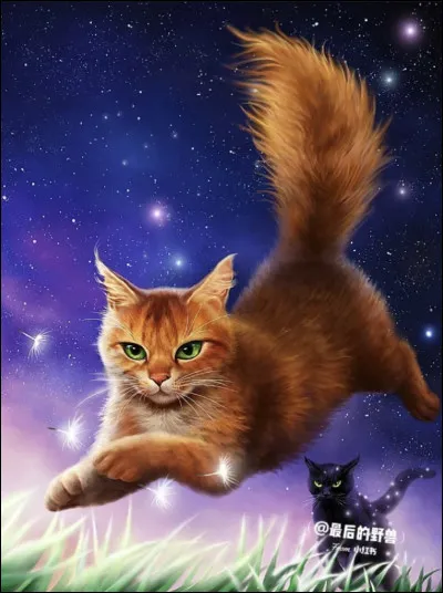 C'était complexe, je te l'accorde. Bon, continuons.

Coche les matous qui ont le pelage roux.