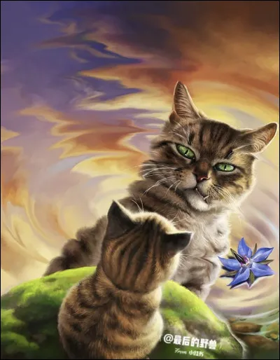 Continuons avec le physique, qui parmi ces chats a des yeux bleus ?