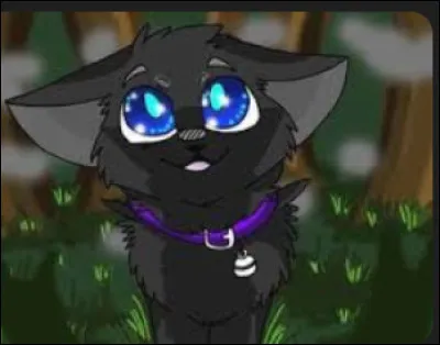 Pourquoi est-il parti de chez lui étant chaton ?