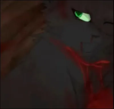 Qui a la même patte blanche que lui ?